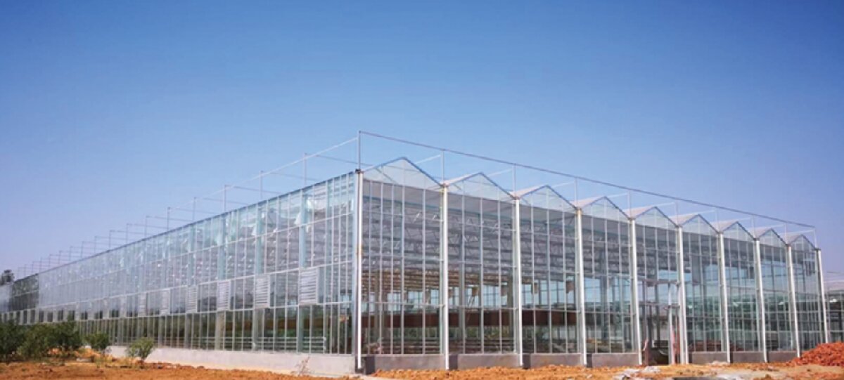 信橋鋼構(gòu)：打卡蒙陰農(nóng)業(yè)溫室大棚、青州黑牛養(yǎng)殖基地！(圖2)